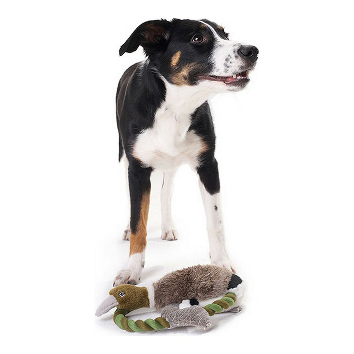 Plush legetøj til hunde Hunter Wildlife Train Med streng And (26 cm)